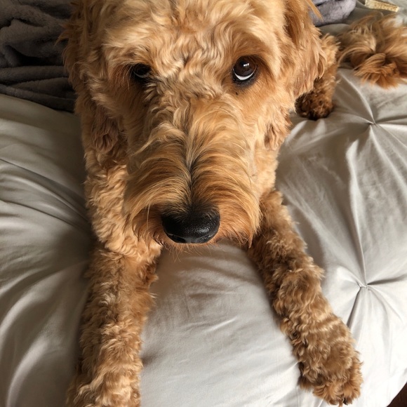 *[welcome]* - Picture 2 of 8